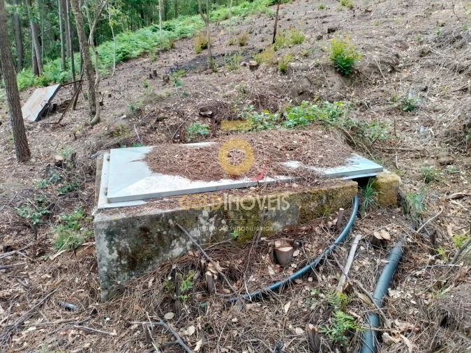 Terreno para Venda em Souselo Foto 13