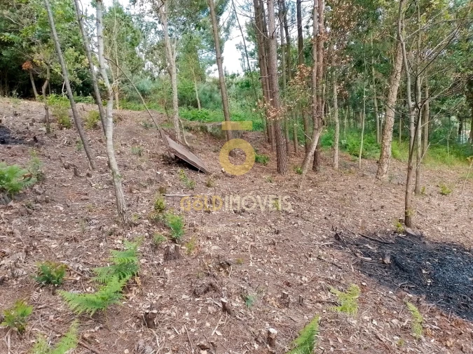 Terreno para Venda em Souselo Foto 9