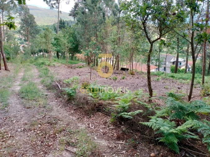 Terreno para Venda em Souselo Foto 14