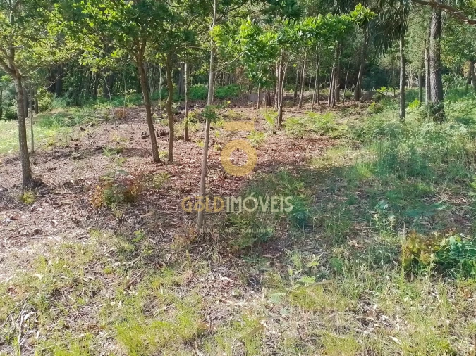 Terreno para Venda em Souselo Foto 10
