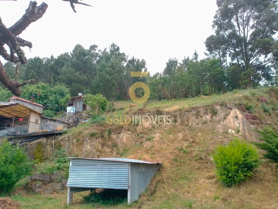 Terreno para Venda em Souselo Foto 3