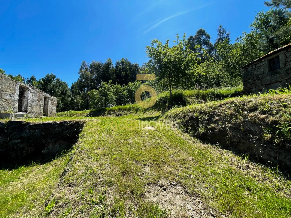 Terreno Agricola ou Rústico para Venda em Moimenta Foto 8