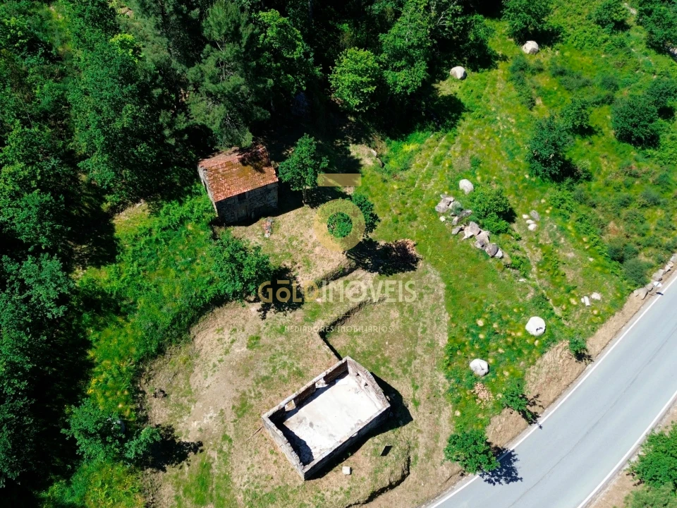 Terreno Agricola ou Rústico para Venda em Moimenta Foto 3