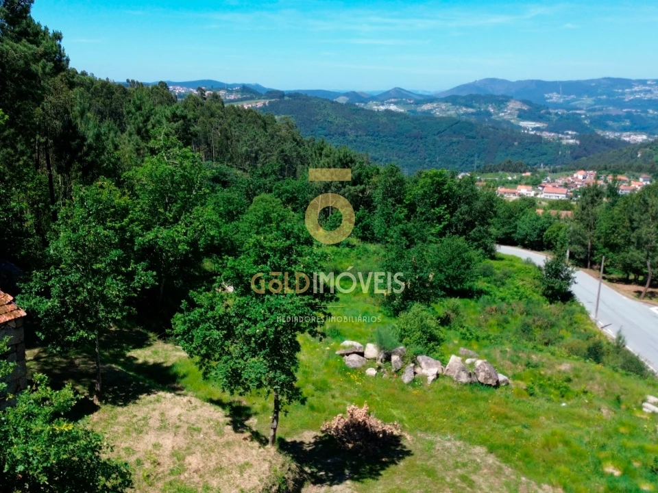 Terreno Agricola ou Rústico para Venda em Moimenta Foto 16