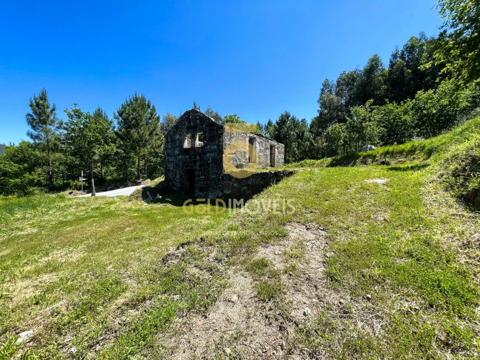 Terreno Agricola ou Rústico para Venda em Moimenta Foto 7