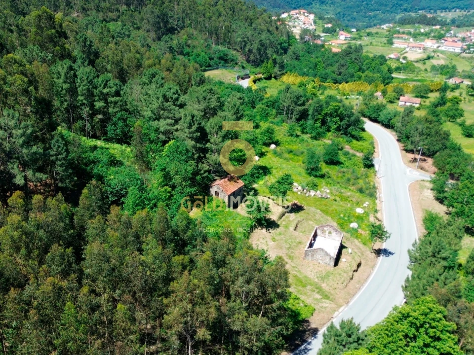 Terreno Agricola ou Rústico para Venda em Moimenta Foto 11