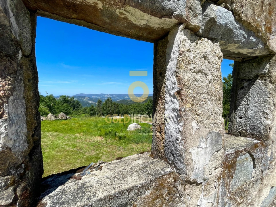 Terreno Agricola ou Rústico para Venda em Moimenta Foto 5