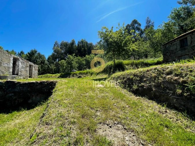 Terreno Agricola ou Rústico para Venda em Moimenta Foto 8