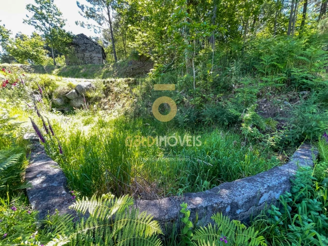 Terreno Agricola ou Rústico para Venda em Moimenta Foto 13
