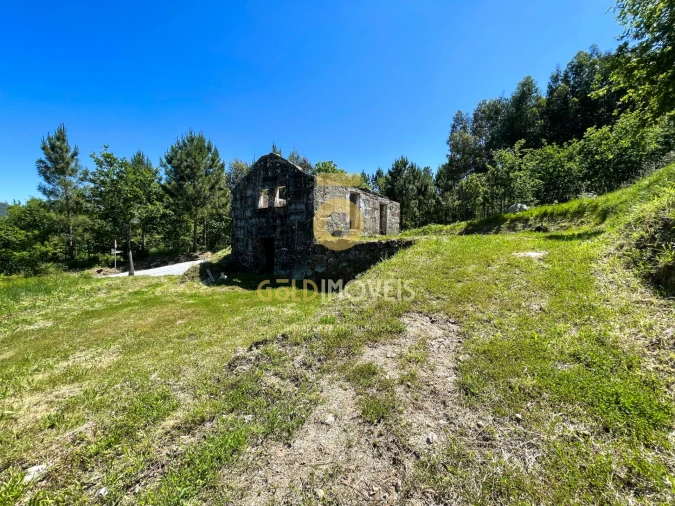 Terreno Agricola ou Rústico para Venda em Moimenta Foto 7