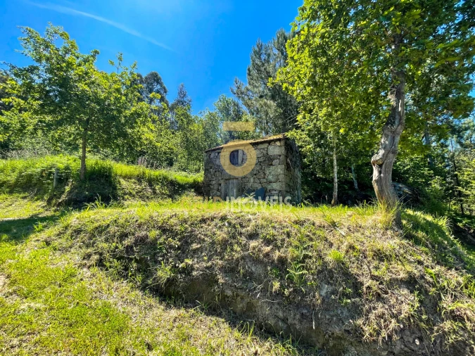 Terreno Agricola ou Rústico para Venda em Moimenta Foto 4