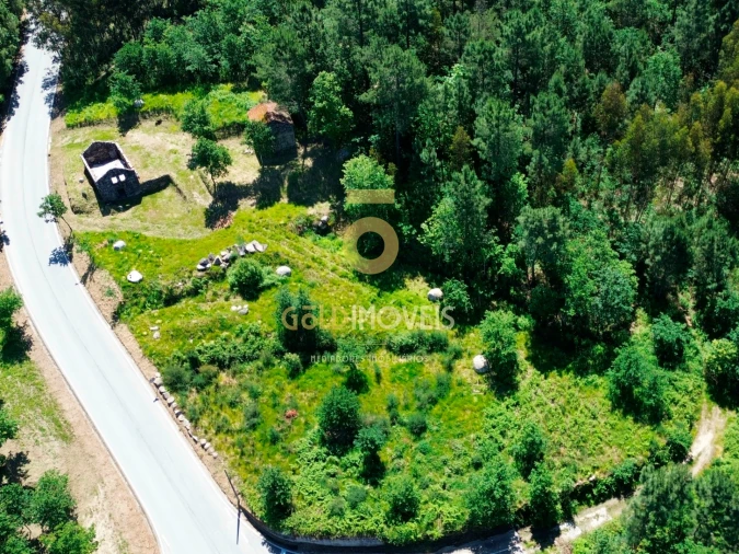 Terreno Agricola ou Rústico para Venda em Moimenta Foto 10