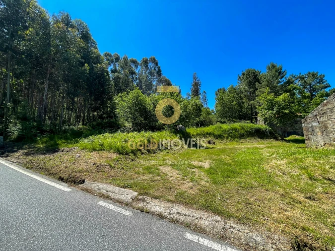 Terreno Agricola ou Rústico para Venda em Moimenta Foto 15