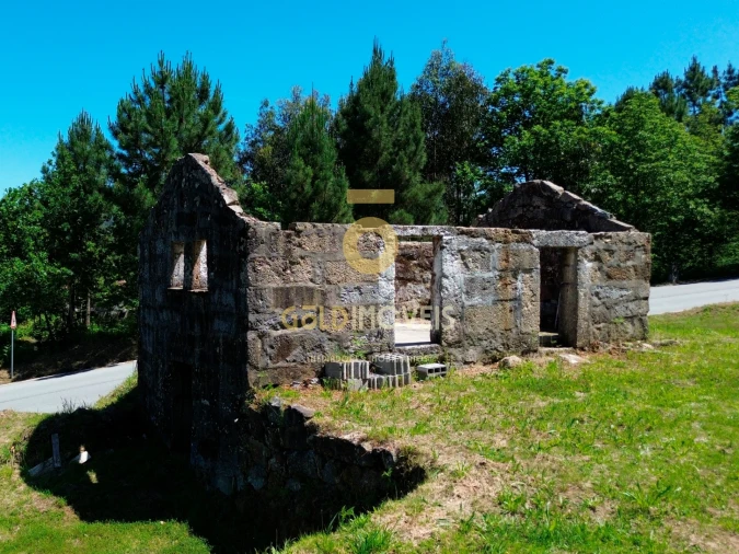 Terreno Agricola ou Rústico para Venda em Moimenta Foto 2