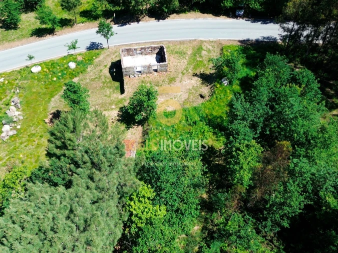 Terreno Agricola ou Rústico para Venda em Moimenta Foto 9