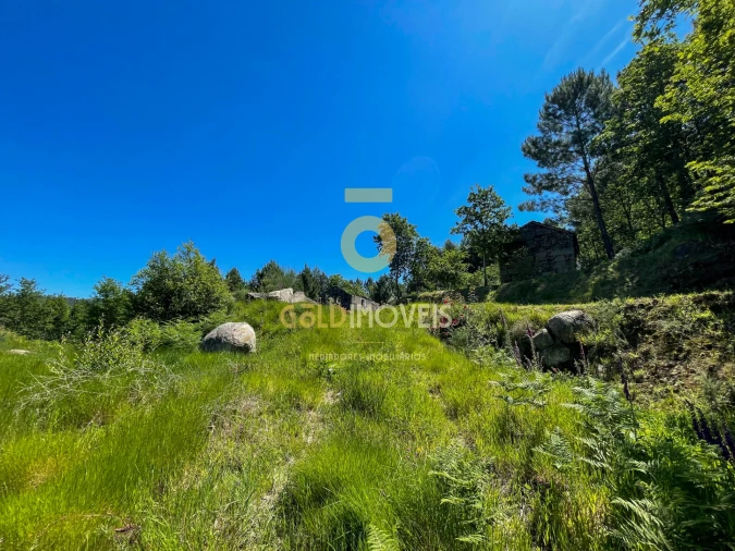 Terreno Agricola ou Rústico para Venda em Moimenta Foto 14