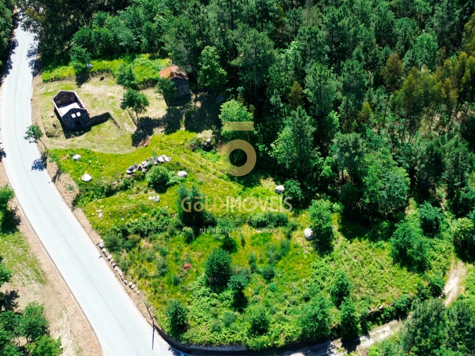 Terreno Agricola ou Rústico para Venda em Moimenta Foto 10