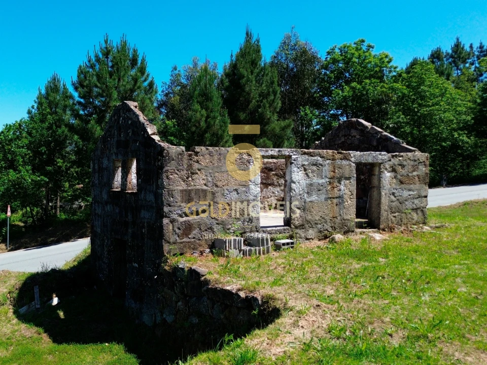 Terreno Agricola ou Rústico para Venda em Moimenta Foto 2