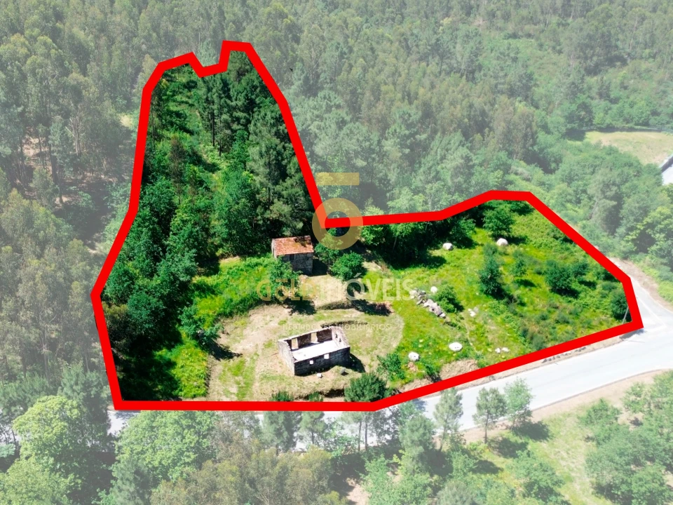 Terreno Agricola ou Rústico para Venda em Moimenta Foto 1