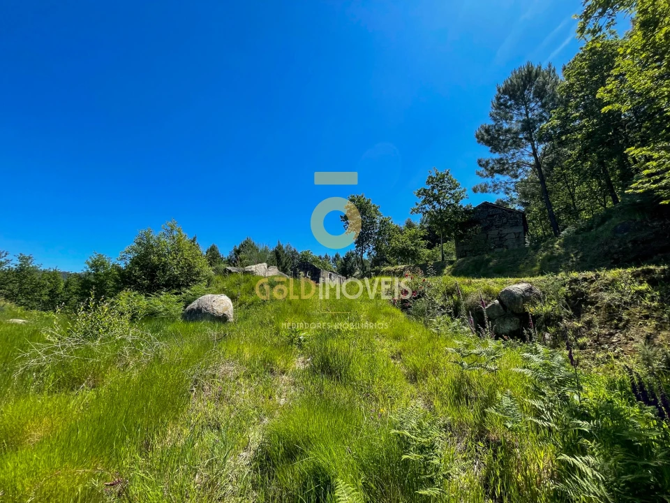 Terreno Agricola ou Rústico para Venda em Moimenta Foto 14