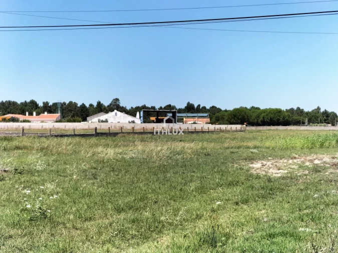 Terreno Agricola ou Rústico para Venda em Samora Correia Foto 7