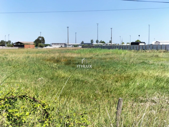 Terreno Agricola ou Rústico para Venda em Samora Correia Foto 6