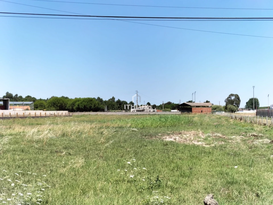 Terreno Agricola ou Rústico para Venda em Samora Correia Foto 5