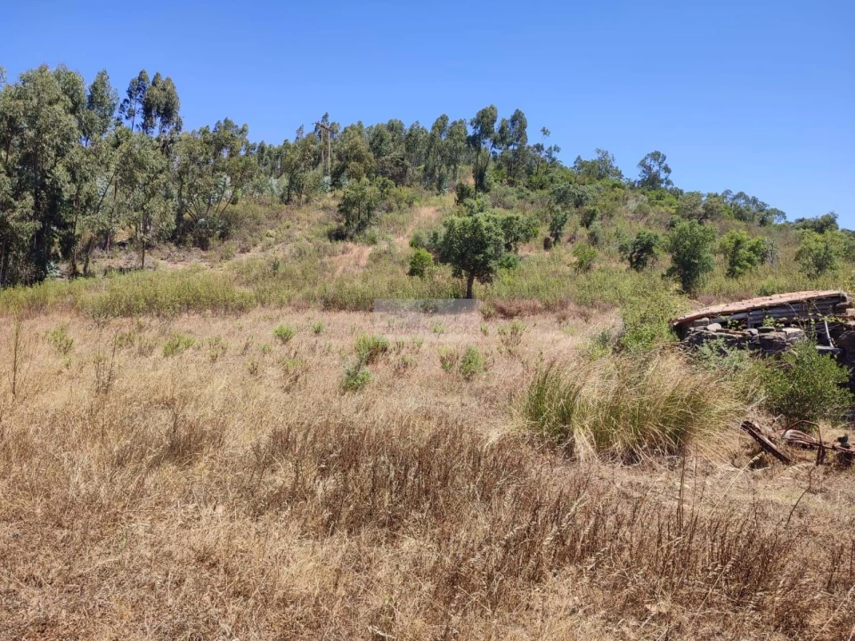 Terreno para Venda em Marmelete Foto 14
