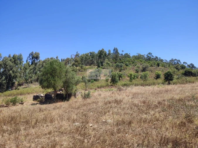 Terreno para Venda em Marmelete Foto 4