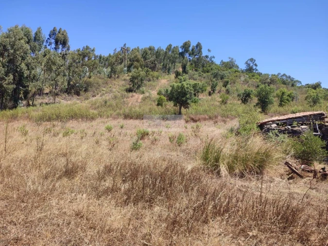 Terreno para Venda em Marmelete Foto 14