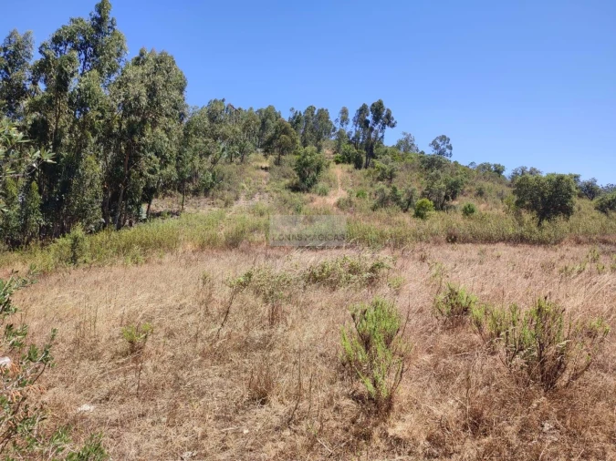 Terreno para Venda em Marmelete Foto 15