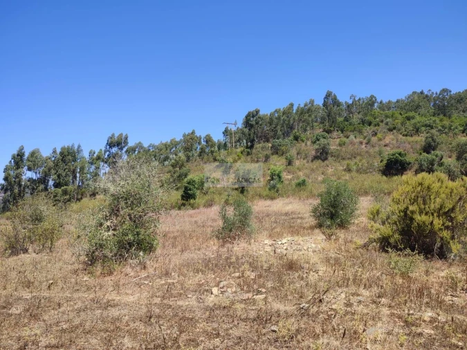 Terreno para Venda em Marmelete Foto 8