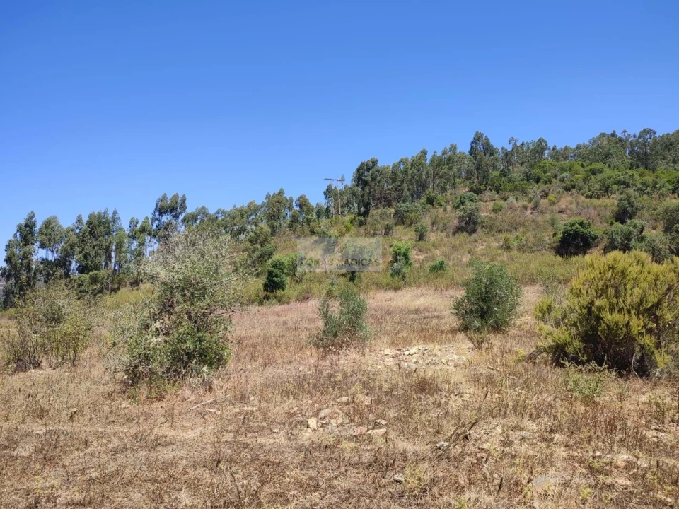 Terreno para Venda em Marmelete Foto 8