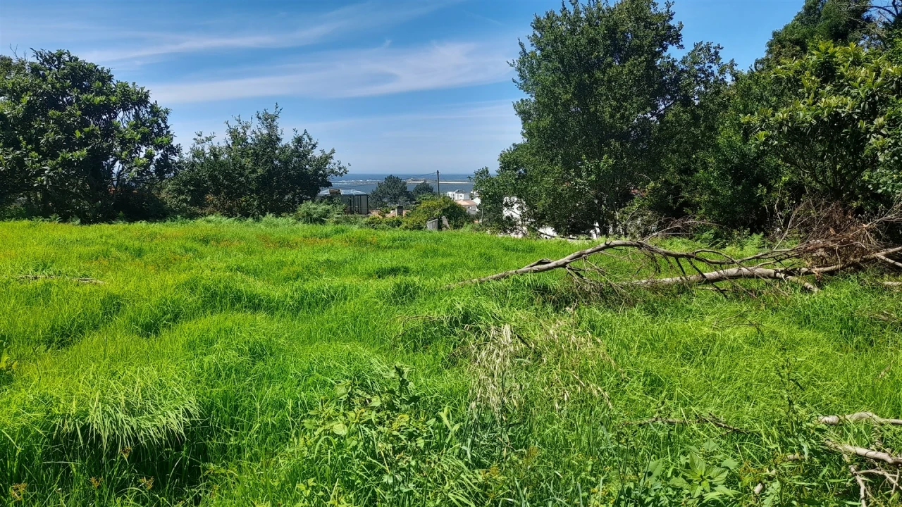 Terreno para Venda em Moledo e Cristelo Foto 4