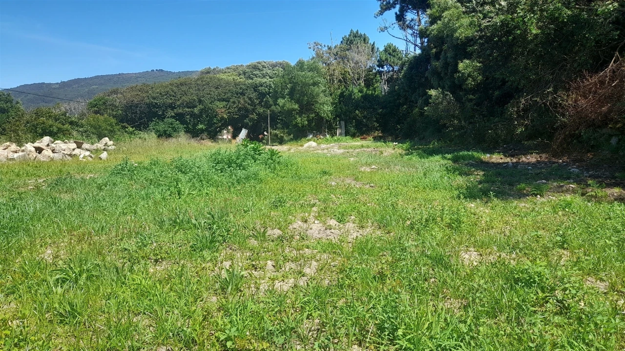 Terreno para Venda em Moledo e Cristelo Foto 12