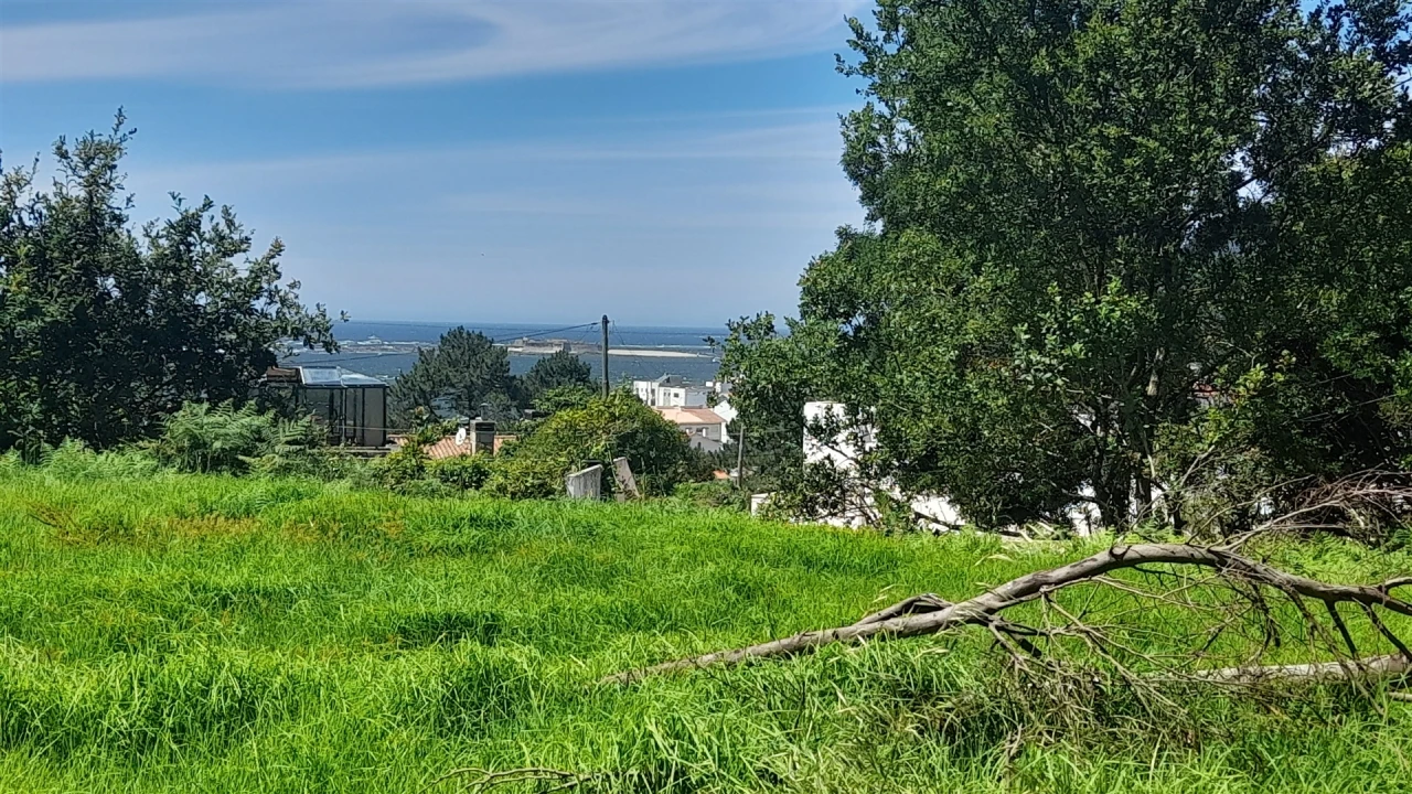 Terreno para Venda em Moledo e Cristelo Foto 5