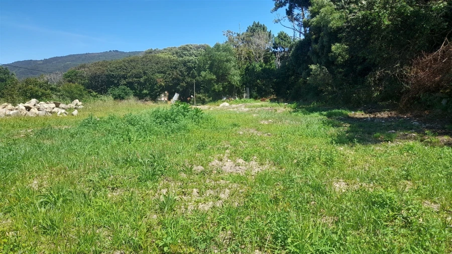 Terreno para Venda em Moledo e Cristelo Foto 12