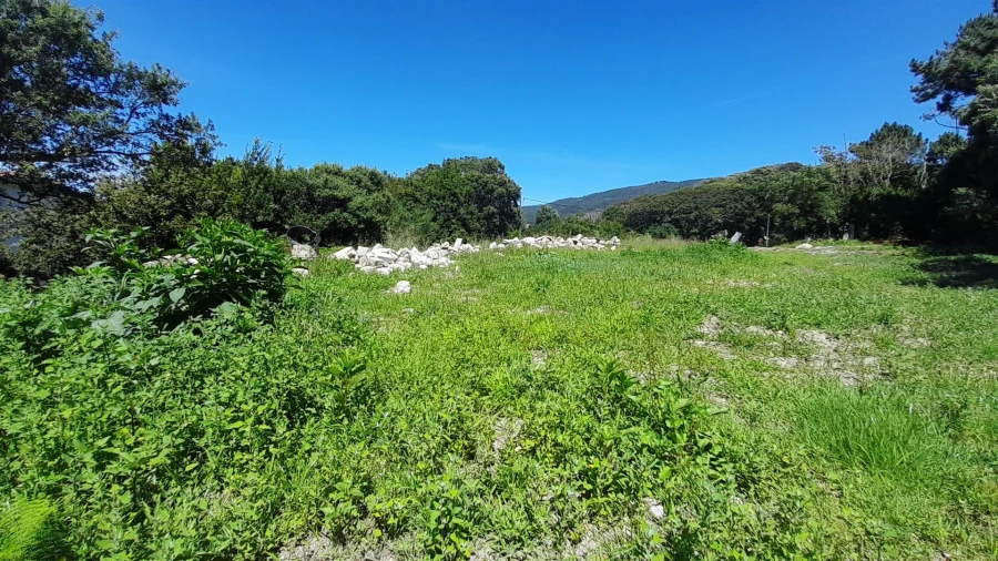 Terreno para Venda em Moledo e Cristelo Foto 9