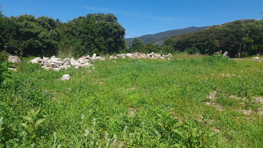 Terreno para Venda em Moledo e Cristelo Foto 10