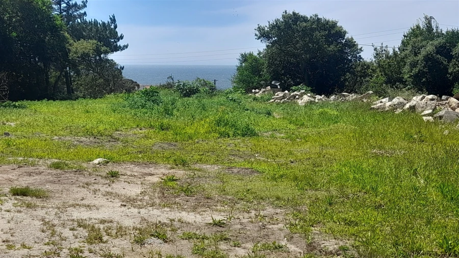 Terreno para Venda em Moledo e Cristelo Foto 7