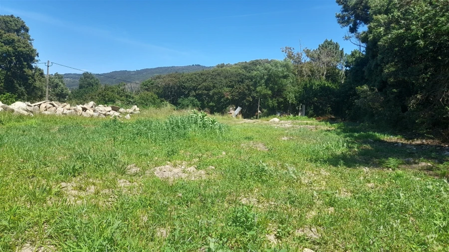 Terreno para Venda em Moledo e Cristelo Foto 11