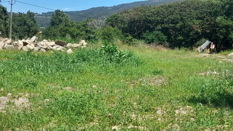 Terreno para Venda em Moledo e Cristelo Foto 14
