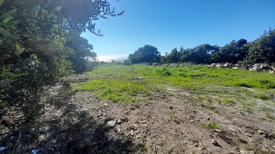Terreno para Venda em Moledo e Cristelo Foto 2
