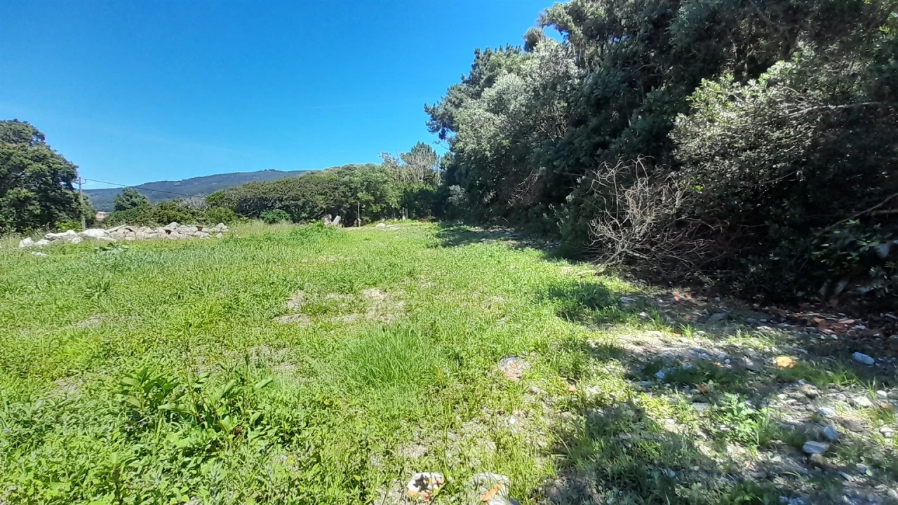Terreno para Venda em Moledo e Cristelo Foto 8