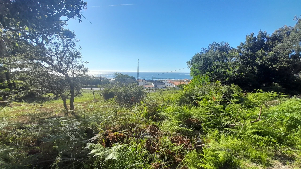 Terreno para Venda em Moledo e Cristelo Foto 3