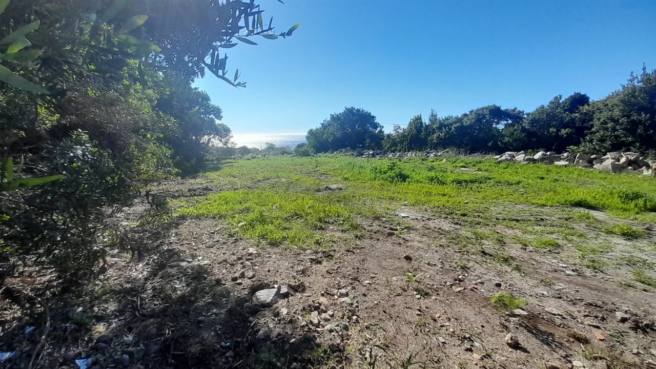 Terreno para Venda em Moledo e Cristelo Foto 2