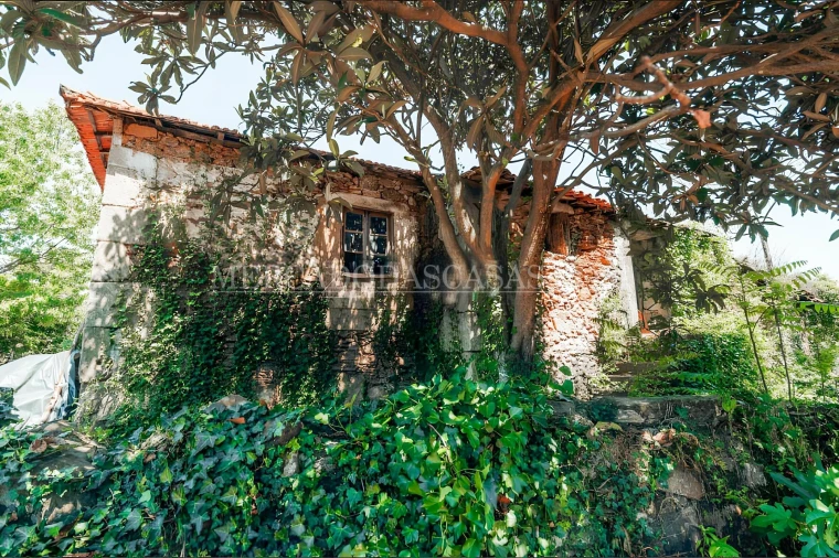 Quinta T3 para Venda em Arco de Baúlhe e Vila Nune Foto 2