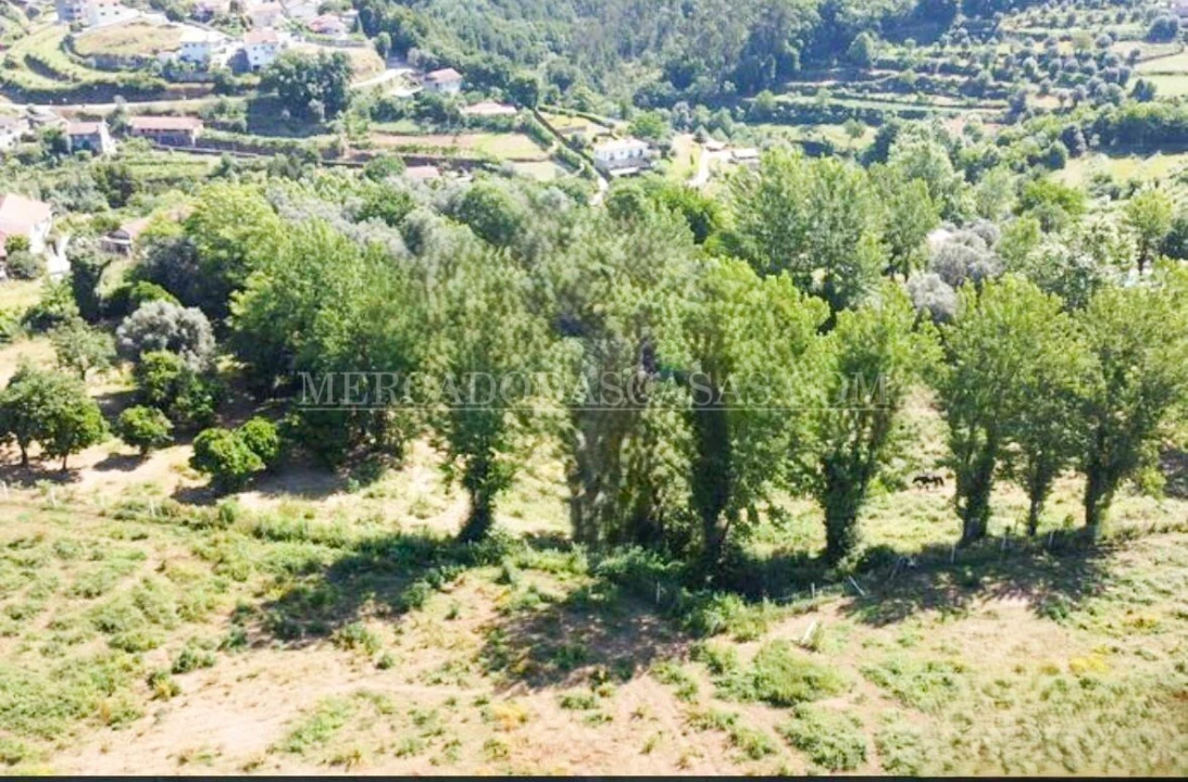 Quinta T3 para Venda em Arco de Baúlhe e Vila Nune Foto 6