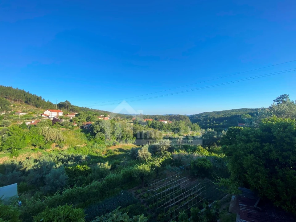 Quinta T3 para Venda em Figueiró dos Vinhos e Bairradas Foto 7
