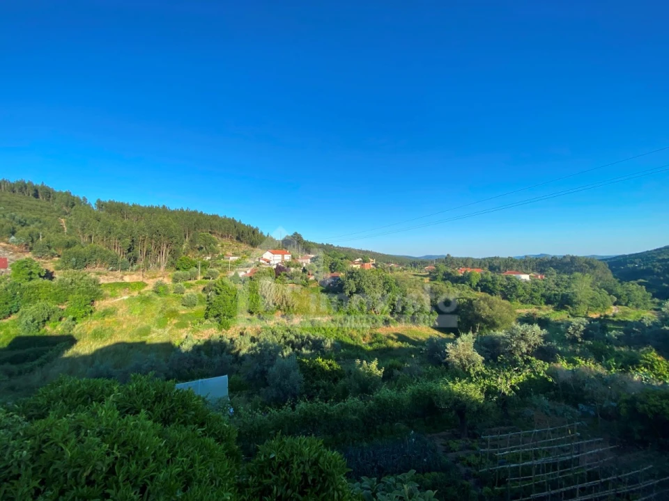 Quinta T3 para Venda em Figueiró dos Vinhos e Bairradas Foto 8